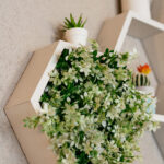 дизайн этна кафе